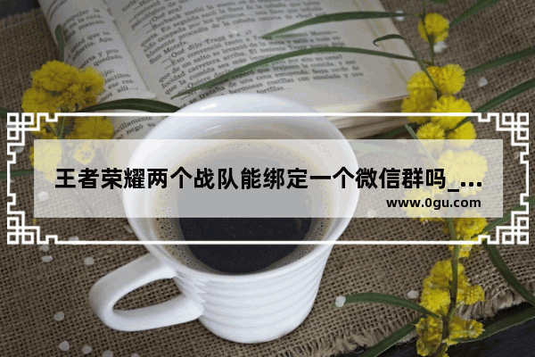 王者荣耀两个战队能绑定一个微信群吗_王者荣耀战队群福利是啥