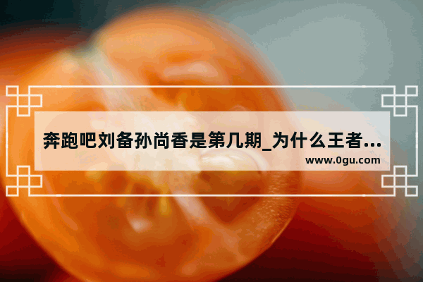 奔跑吧刘备孙尚香是第几期_为什么王者荣耀刘备的cp是孙尚香