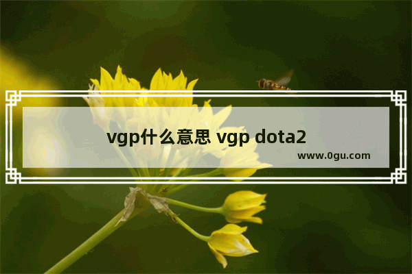 vgp什么意思 vgp dota2