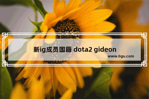 新ig成员国籍 dota2 gideon