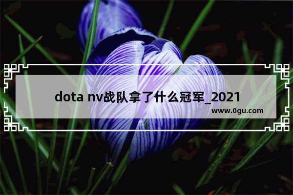 dota nv战队拿了什么冠军_2021csgo世界赛冠军是哪国的