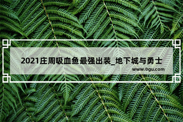 2021庄周吸血鱼最强出装_地下城与勇士影刃怎么预约