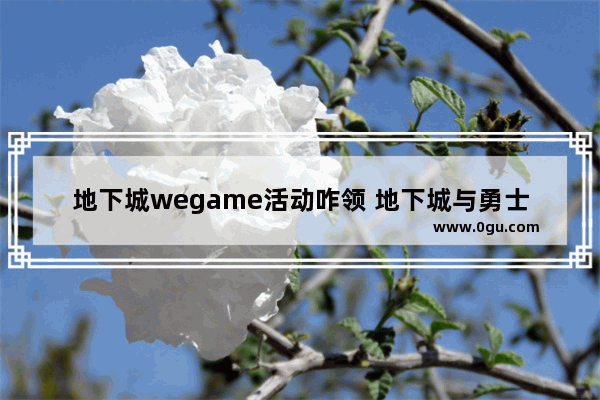 地下城wegame活动咋领 地下城与勇士新活动怎么过