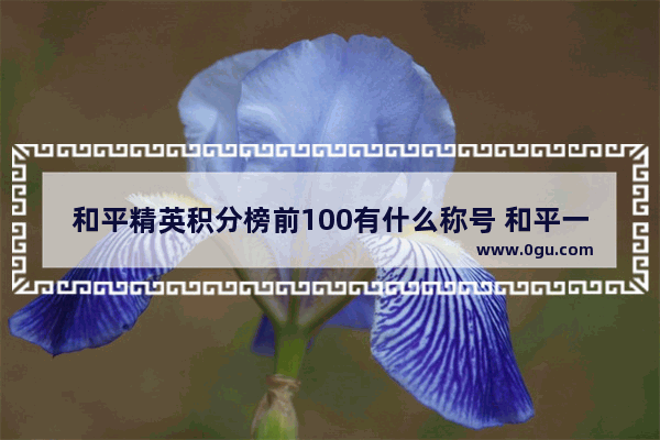 和平精英积分榜前100有什么称号 和平一周年精英玩家称号