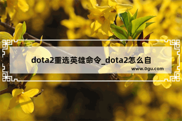 dota2重选英雄命令_dota2怎么自定义人机