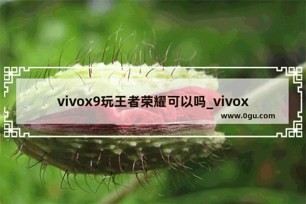 vivox9玩王者荣耀可以吗_vivox9玩王者荣耀太卡了怎么办