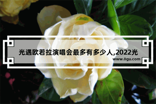 光遇欧若拉演唱会最多有多少人,2022光遇遇境魔法商船