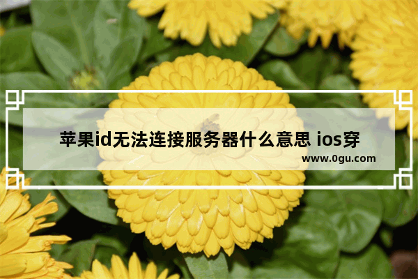 苹果id无法连接服务器什么意思 ios穿越火线无法连接服务器