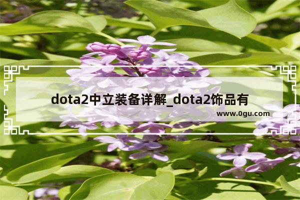 dota2中立装备详解_dota2饰品有什么用_怎么获得和装备使用