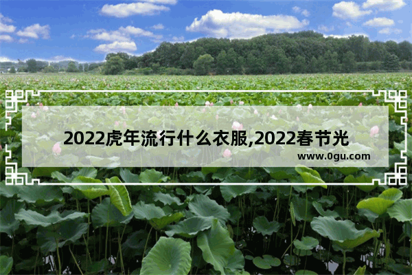 2022虎年流行什么衣服,2022春节光遇虎头