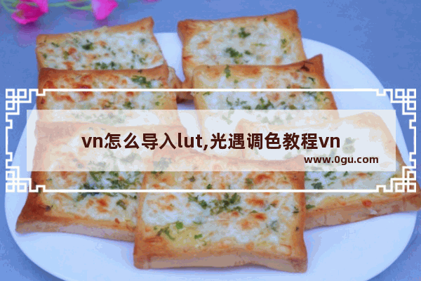 vn怎么导入lut,光遇调色教程vn