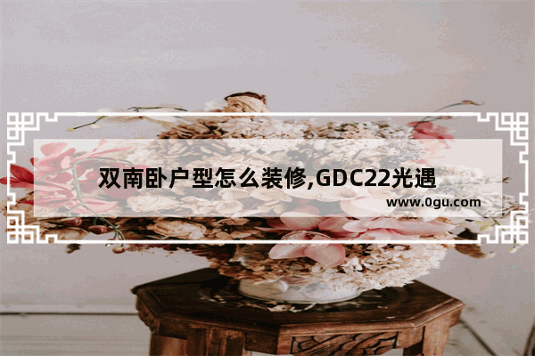 双南卧户型怎么装修,GDC22光遇