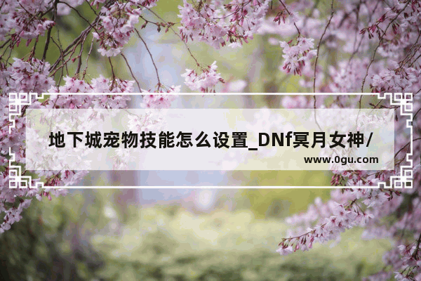 地下城宠物技能怎么设置_DNf冥月女神/奶罗辅助技能加点及技能施放顺序