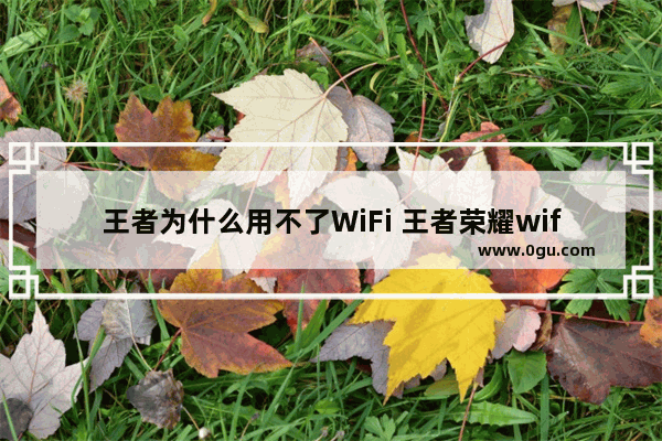 王者为什么用不了WiFi 王者荣耀wifi进不去