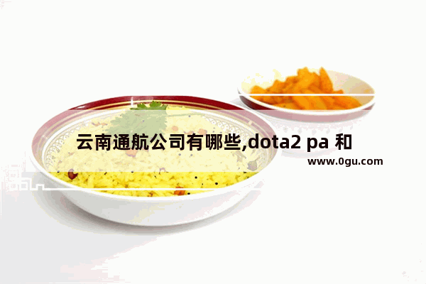 云南通航公司有哪些,dota2 pa 和谐