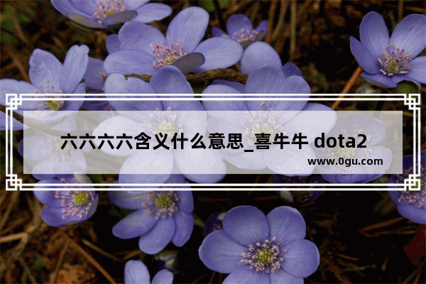 六六六六含义什么意思_喜牛牛 dota2