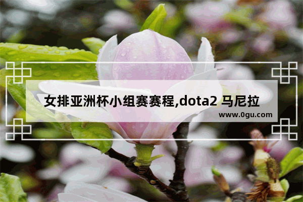 女排亚洲杯小组赛赛程,dota2 马尼拉 赛程