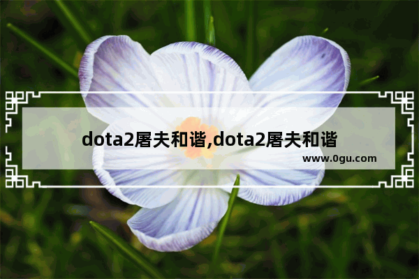 dota2屠夫和谐,dota2屠夫和谐