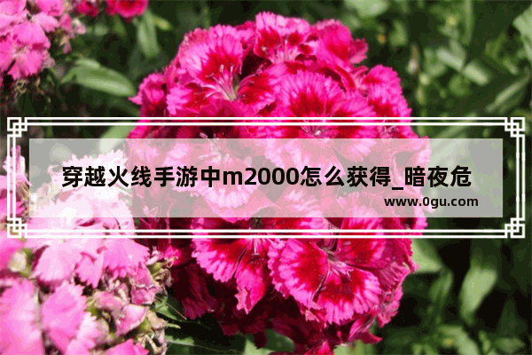 穿越火线手游中m2000怎么获得_暗夜危机哪里有6倍镜