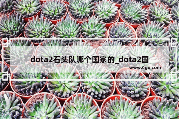 dota2石头队哪个国家的_dota2国内战队排名