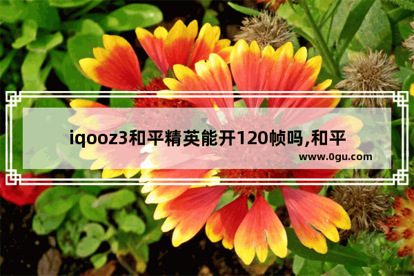 iqooz3和平精英能开120帧吗,和平精英4400