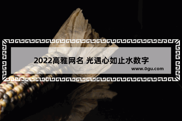 2022高雅网名 光遇心如止水数字