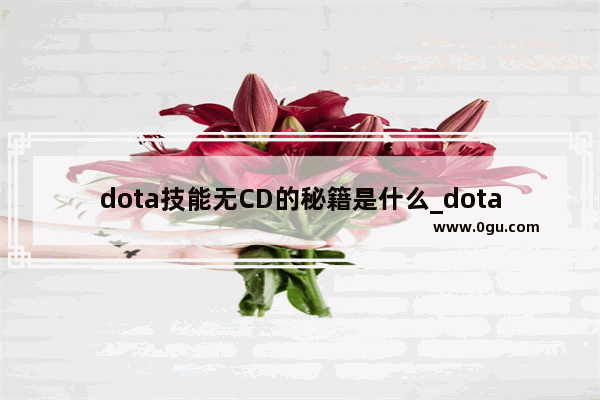 dota技能无CD的秘籍是什么_dota2里有没有减CD的装备啊