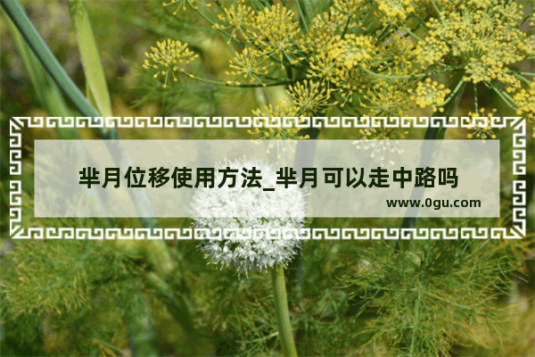 芈月位移使用方法_芈月可以走中路吗