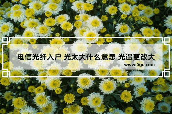 电信光纤入户 光太大什么意思 光遇更改大小