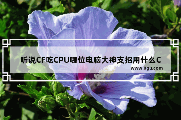 听说CF吃CPU哪位电脑大神支招用什么CPU好点呢_什么cpu玩cf好