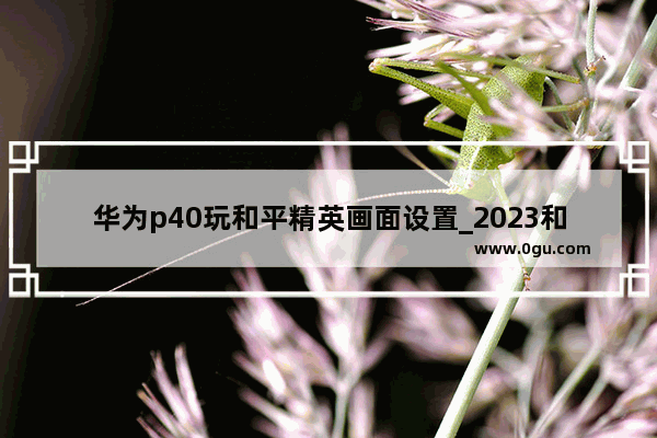 华为p40玩和平精英画面设置_2023和平精英捏脸如何在海岛显示