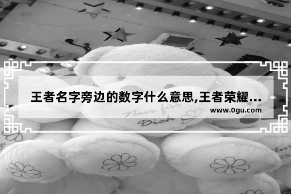 王者名字旁边的数字什么意思,王者荣耀名字规则