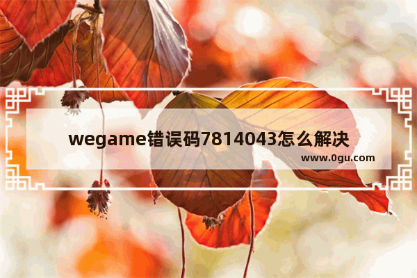 wegame错误码7814043怎么解决 韩服地下城与勇士错误代码