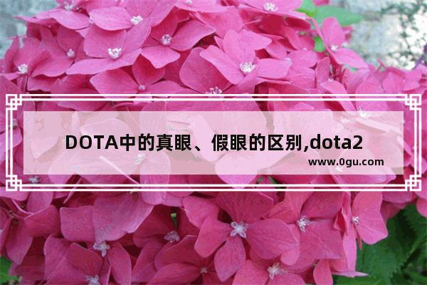 DOTA中的真眼、假眼的区别,dota2假眼封野