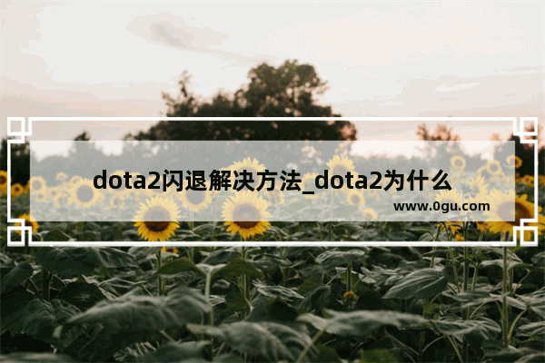 dota2闪退解决方法_dota2为什么启动不了只显示了dota2的启动器