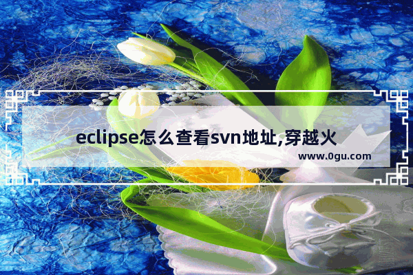 eclipse怎么查看svn地址,穿越火线svn9