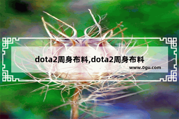 dota2周身布料,dota2周身布料