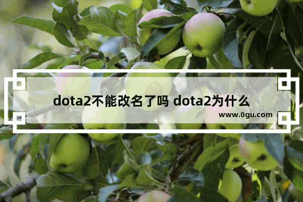 dota2不能改名了吗 dota2为什么不能打字