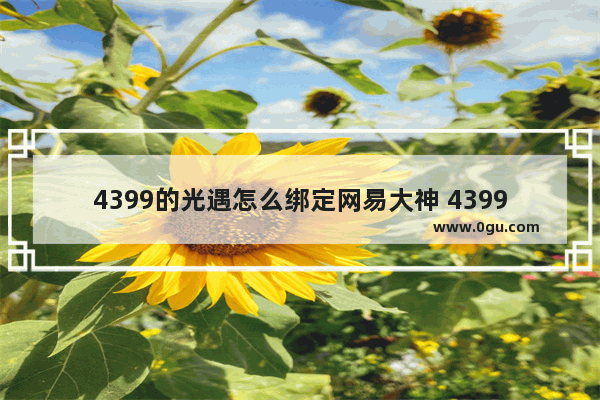 4399的光遇怎么绑定网易大神 4399光遇游戏绑定