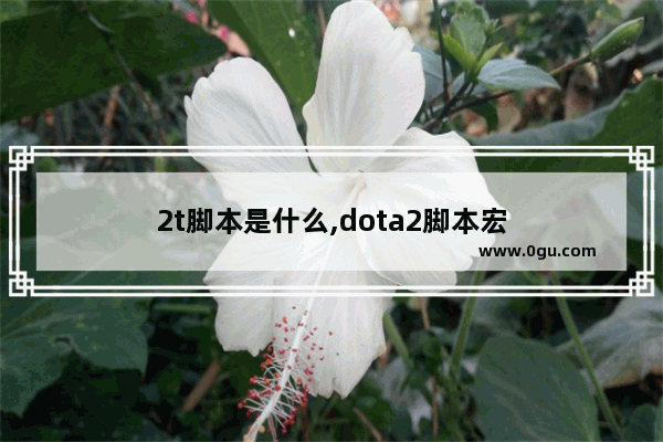 2t脚本是什么,dota2脚本宏