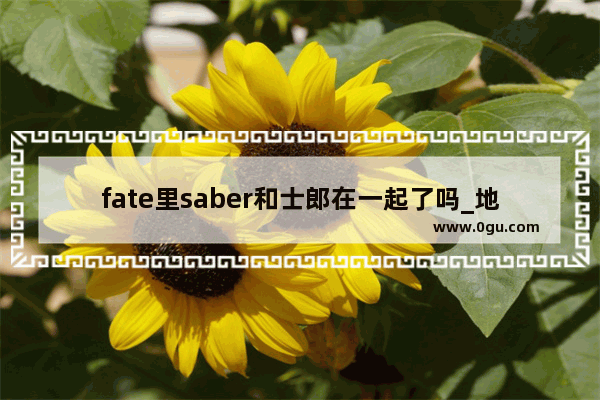 fate里saber和士郎在一起了吗_地下城与勇士卫宫是什么套