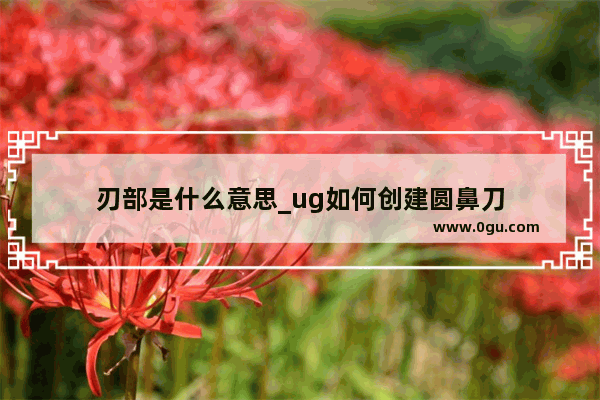 刃部是什么意思_ug如何创建圆鼻刀