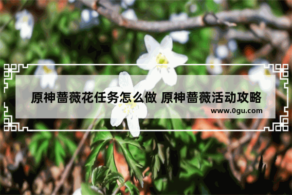 原神蔷薇花任务怎么做 原神蔷薇活动攻略