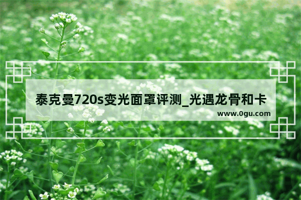 泰克曼720s变光面罩评测_光遇龙骨和卡的眼睛颜色