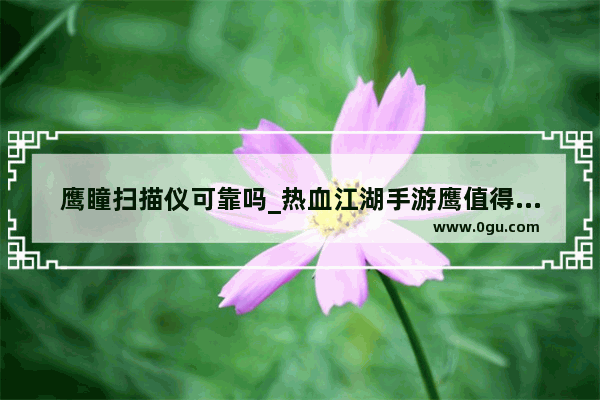 鹰瞳扫描仪可靠吗_热血江湖手游鹰值得培养吗