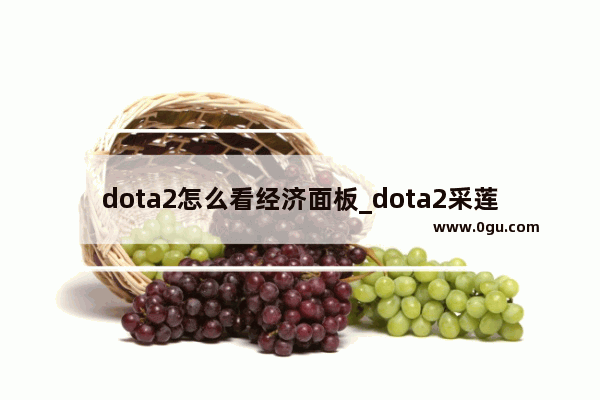 dota2怎么看经济面板_dota2采莲花有啥用