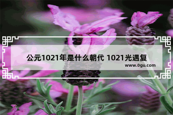 公元1021年是什么朝代 1021光遇复刻先祖