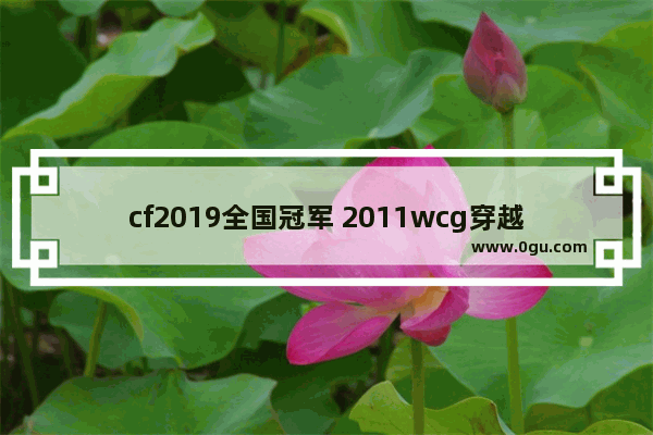 cf2019全国冠军 2011wcg穿越火线世界总决赛