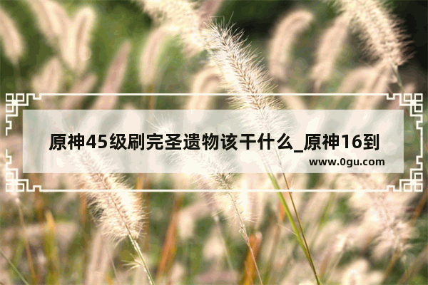 原神45级刷完圣遗物该干什么_原神16到45要干什么