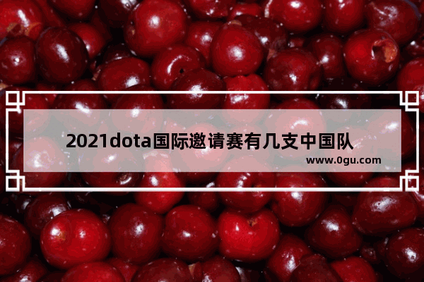 2021dota国际邀请赛有几支中国队 ig vp dota2